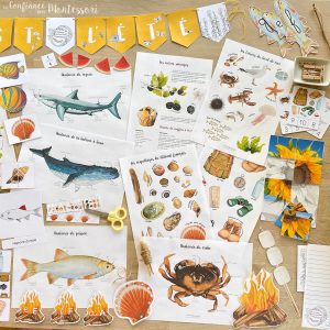 Pack complet sur le thème de l&rsquo;Été – PDF à télécharger