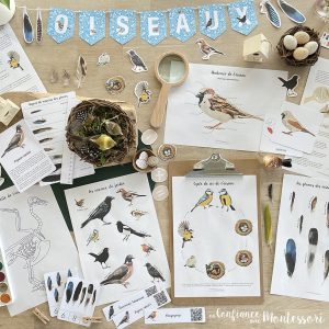 Pack complet sur Les oiseaux du jardin – PDF à télécharger