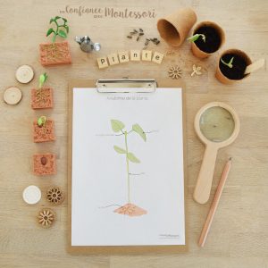 Mini Pack sur le thème de la plante – PDF à télécharger