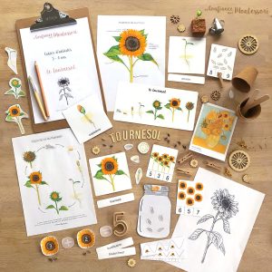Pack complet sur le thème du tournesol – PDF à télécharger