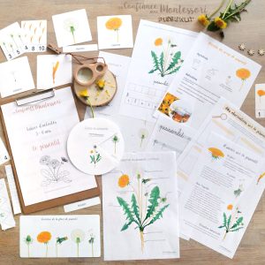 Pack complet sur le thème du pissenlit – PDF à télécharger