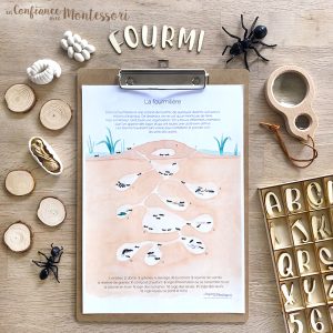 Affiche sur la fourmilière (inclus dans le Pack Fourmi) – PDF à télécharger