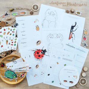 Cahier d’activités sur le thème des coléoptères (inclus dans le Pack Coléoptère) – PDF à télécharger