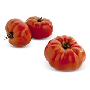Tomate Charnue entre 900 g et 1100 g