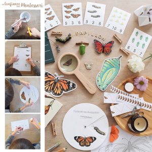 Cahier d’activités sur le thème du papillon Monarque (inclus dans le Pack Papillon) – PDF à télécharger