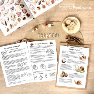 Affiches de faits à savoir sur l&rsquo;Escargot (inclus dans le Pack Escargot) – PDF à télécharger