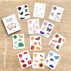 Cartes imagier des couleurs (inclus dans le Pack des petits) – PDF à télécharger