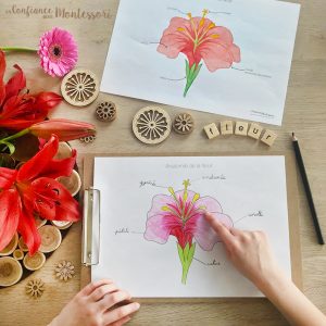 Mini Pack sur le thème de la fleur – PDF à télécharger