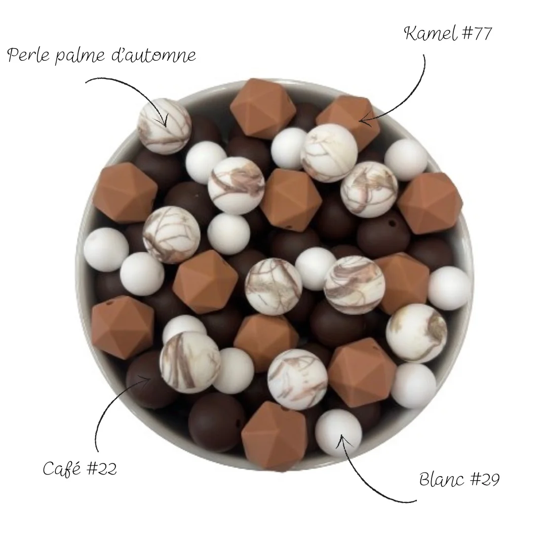 Perle palme d’automne – Image 3