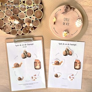 Affiche cycle de vie de l&rsquo;Escargot + Affiche à compléter (inclus dans le Pack Escargot) – PDF à télécharger