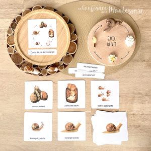 Images classifiées cycle de vie de l&rsquo;Escargot (inclus dans le Pack Escargot) – PDF à télécharger