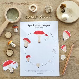 Affiche cycle de vie du champignon + Affiche à compléter (inclus dans le Pack Champignon) – PDF à télécharger