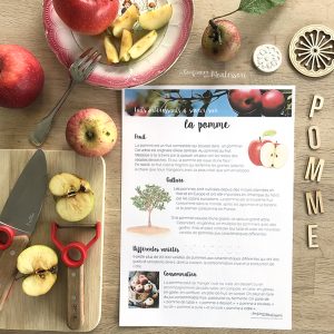 Affiche de faits à savoir sur la pomme (inclus dans le Pack Pomme) – PDF à télécharger