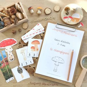 Cahier d’activités sur le thème du champignon (inclus dans le Pack Champignon) – PDF à télécharger