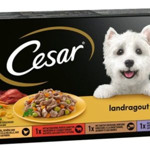 Cesar Culinaria en Sauce 24x 150 gr