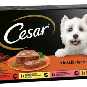 Cesar Sélection Viande 24 x 150 gr