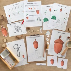 Mini Pack sur le thème du Gland  – [inclus dans le Pack Automne – PDF à télécharger]