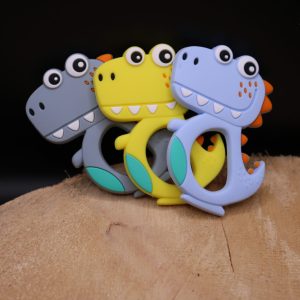 Anneau dentition Dinosaure