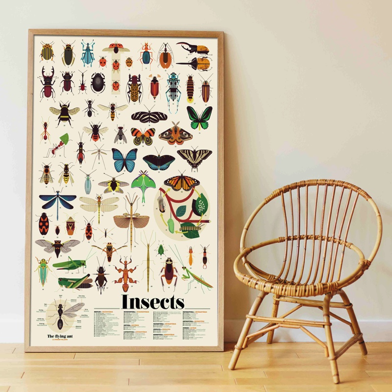 Poster Pédagogique + 44 stickers INSECTES (6-12 ans) – Image 2