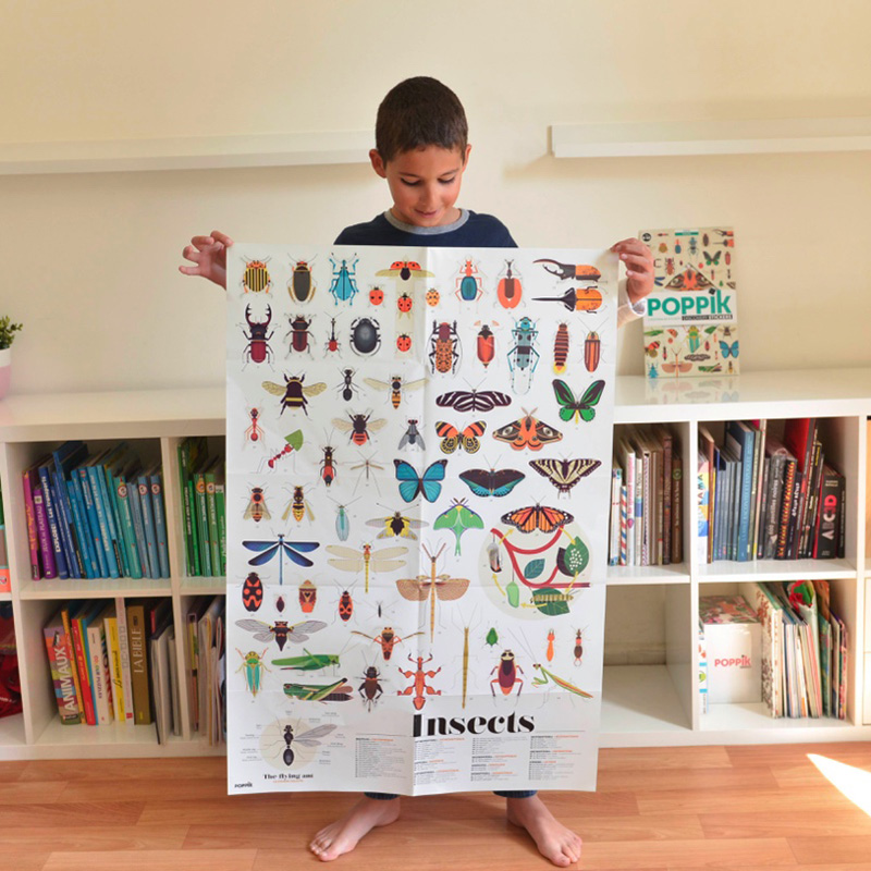 Poster Pédagogique + 44 stickers INSECTES (6-12 ans) – Image 3