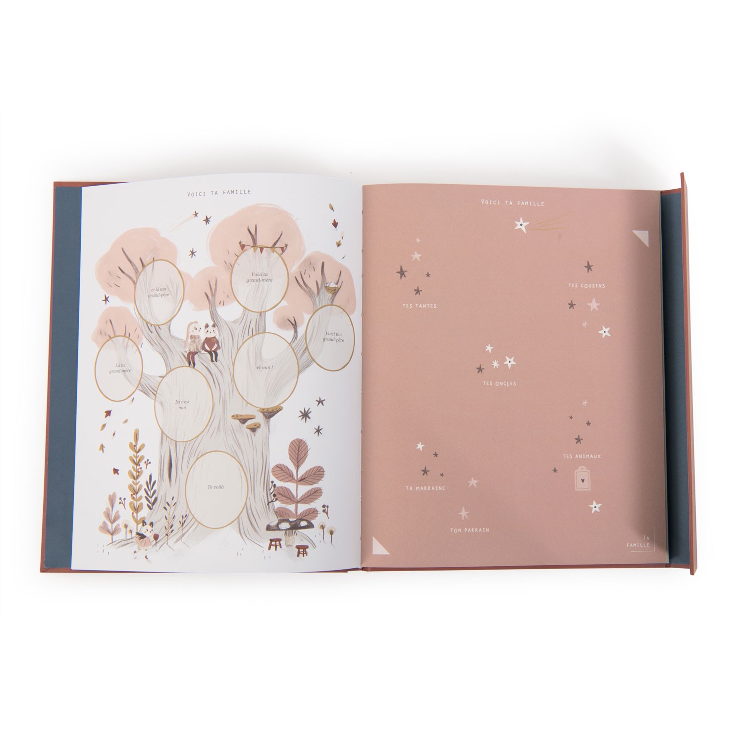 LIVRE DE NAISSANCE  « APRÈS LA PLUIE » – Image 2