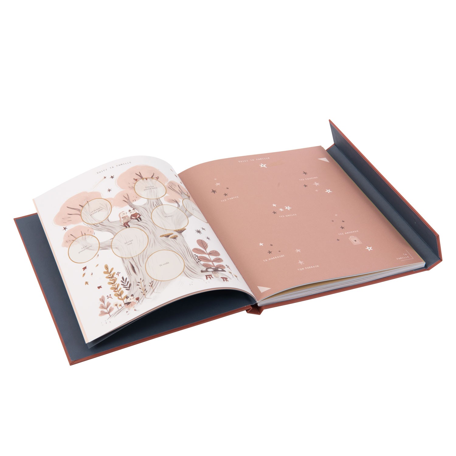 LIVRE DE NAISSANCE  « APRÈS LA PLUIE » – Image 5