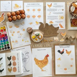 Pack complet sur le thème de la Poule – PDF à télécharger