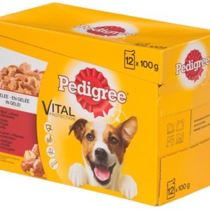 Pedigree Favourites 12x 100 gr