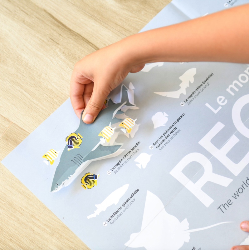 Poster pédagogique + 45 stickers REQUINS (6-12 ans) – Image 4