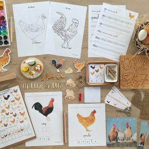 Cahier d’activités sur le thème de la poule (inclus dans le Pack Poule) – PDF à télécharger