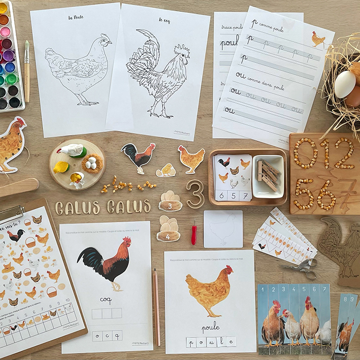 Cahier d’activités sur le thème de la poule (inclus dans le Pack Poule) – PDF à télécharger