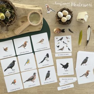 Images classifiées Les oiseaux du jardin + cartes descriptives – [inclus dans le Pack Oiseaux du jardin] – PDF à télécharger