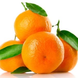 Clémentine Feuilles