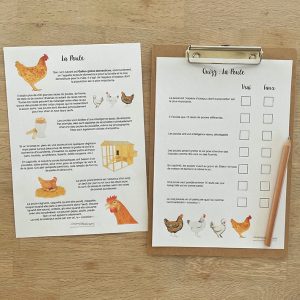 Affiche de faits à savoir sur la Poule + quizz (inclus dans le Pack Poule) – PDF à télécharger