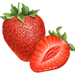 Fraises en Barquette de 500g