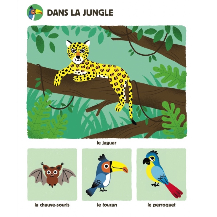 Livre sonore MON GRAND IMAGIER SONORE (dès 1 an) – Image 5