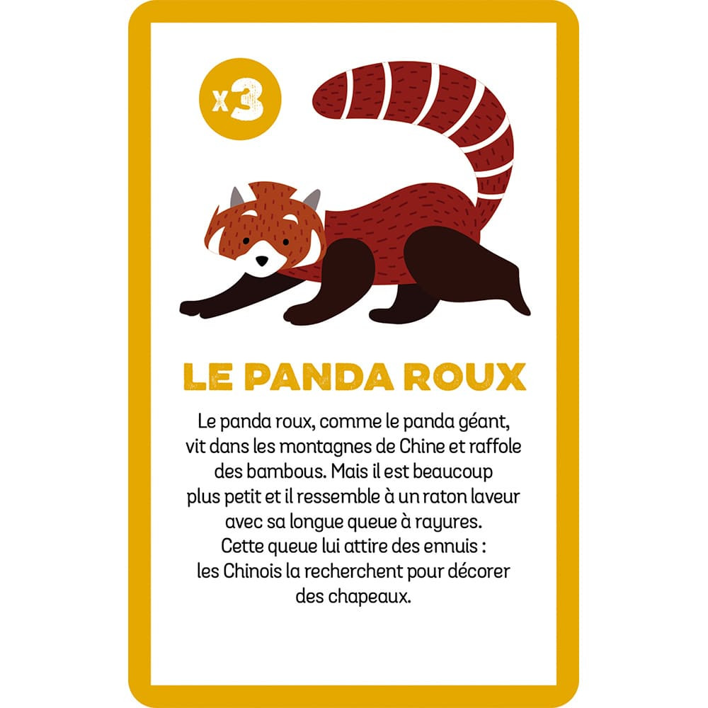 JEU CHERCHE ET TROUVE « LES ANIMAUX MENACÉS » – Image 8
