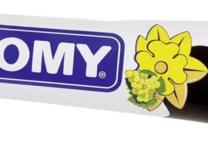 Moutarde de Dijon Thomy 100 gr