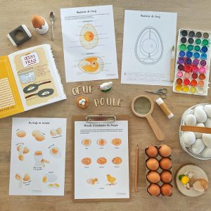 Affiches sur le thème de l’œuf de poule (inclus dans le Pack Poule) – PDF à télécharger