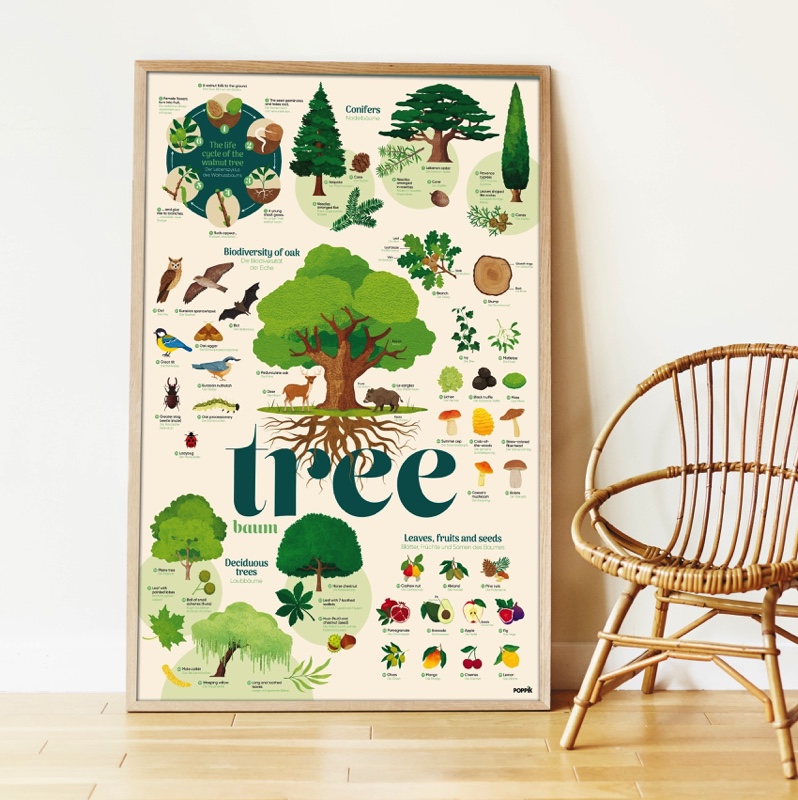Poster pédagogique + 54 stickers L’ARBRE (6-12 ans) – Image 2