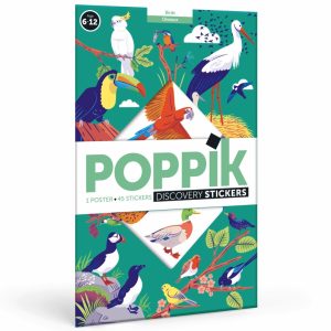 Poster pédagogique + 45 stickers OISEAUX (6-12 ans)