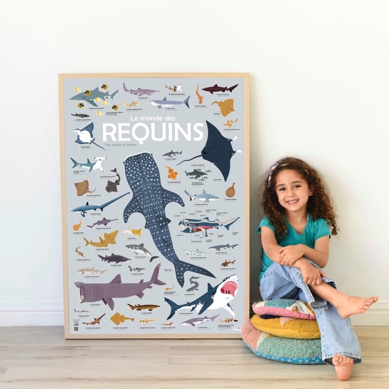 Poster pédagogique + 45 stickers REQUINS (6-12 ans) – Image 2