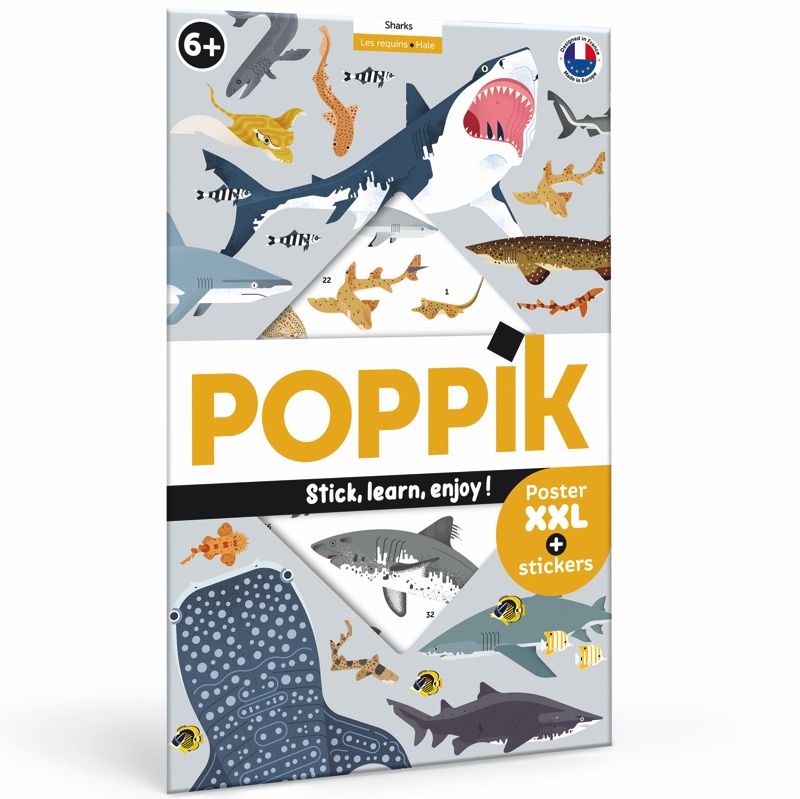 Poster pédagogique + 45 stickers REQUINS (6-12 ans)